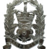 Hampshire Constabulary Constables  Helmet Plate - Queen's Crown