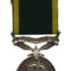 George VI Territorial Efficiency Medal - Pte. J. Robinson, Border Regiment