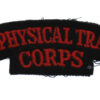 Army Physical Training Corps (ARMY PHYSICAL TRAINING/CORPS) Cloth Shoulder Title