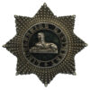 Lincolnshire Regiment Officer's Cap Badge