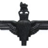 Parachute Regiment Black Cap Badge - Queen's Crown