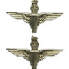 Pair of Parachute Regiment Collar Badges - Queen's Crown