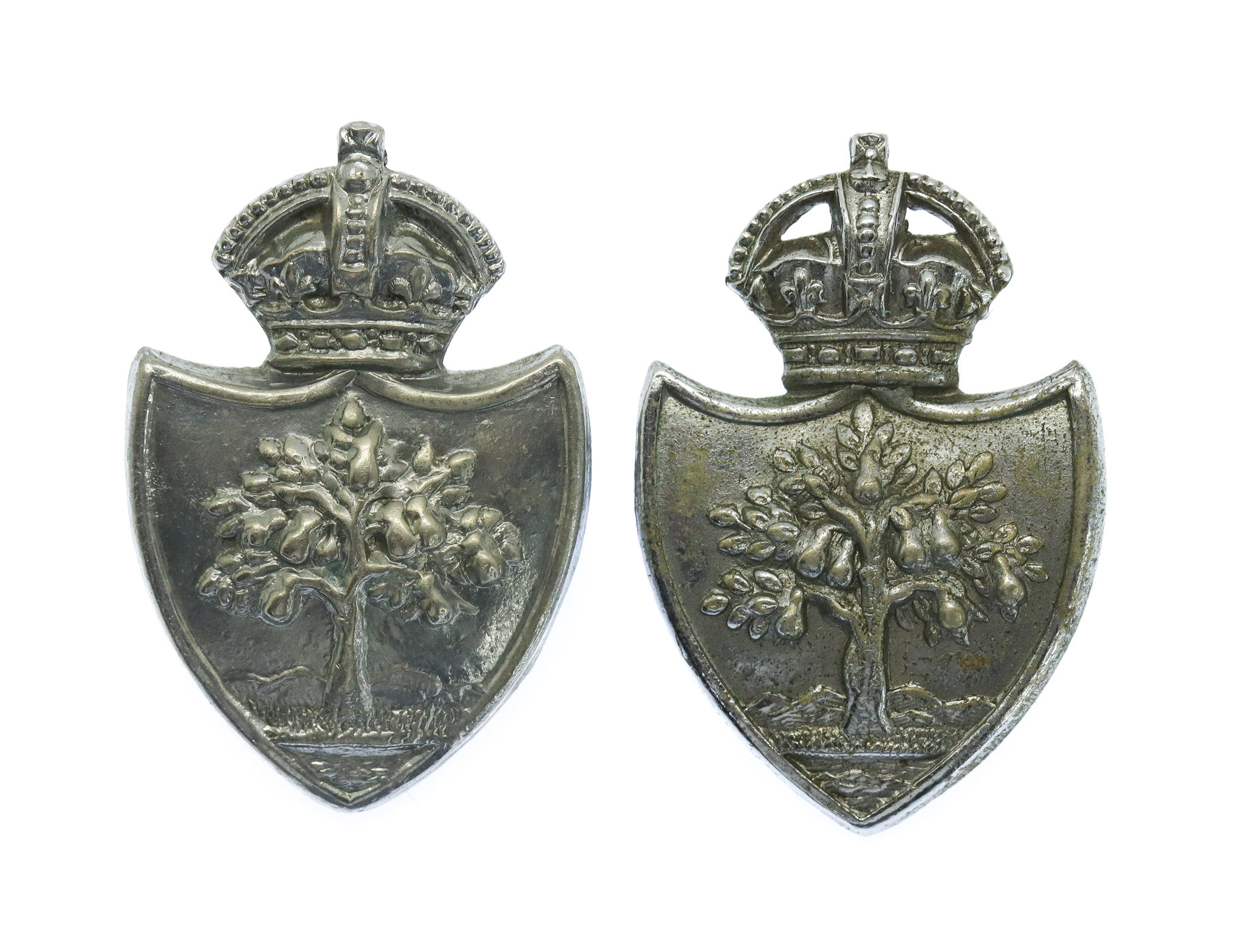 Pair of Worcestershire Constabulary Collar Badges - King's Crown