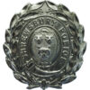 Shrewsbury Borough Police Wreath Helmet Plate