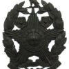 Leeds City Police Black Helmet Plate
