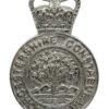 Worcestershire Constabulary Cap Badge - Queen's Crown