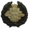 Canterbury City Police Black Wreath Helmet Plate