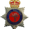 Civil Nuclear Constabulary Enamelled Helmet Plate - Queen's Crown
