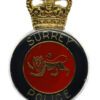 Surrey Police Enamel Cap Badge - Queen's Crown