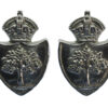 Pair of Worcestershire Constabulary Collar Badges - King's Crown