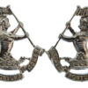 Pair of Duke of Wellington's Regiment (West Riding) Anodised (Staybrite) Collar Badges