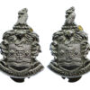 Pair of Gateshead Borough Police Collar Badges