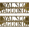 Pair of Royal Scots Dragoon Guards (ROYAL SCOTS / DRAGOON GDS) Anodised (Staybrite) Shoulder Titles
