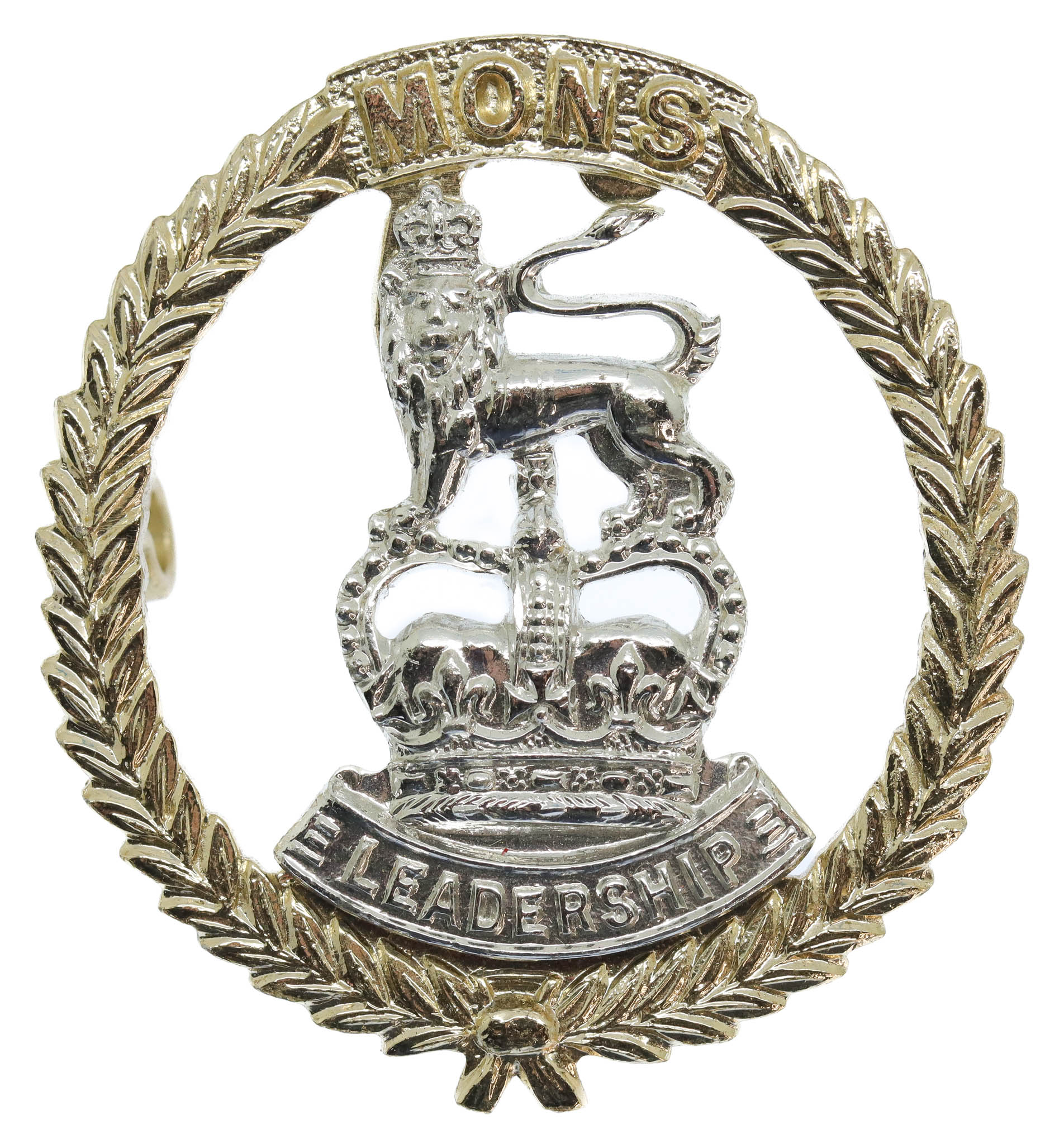 Mons Officer Cadet School Anodised (Staybrite) Cap Badge