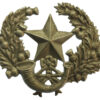 Cameronians (Scottish Rifles) Cap Badge 