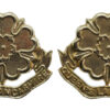 Pair of Queen's Lancashire Regiment Anodised (Staybrite) Collar Badges