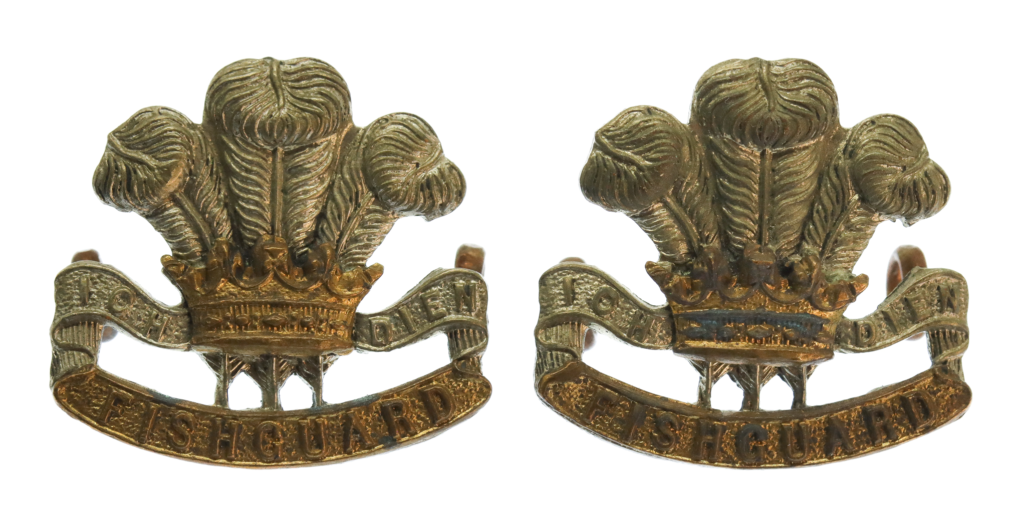 Pair of Pembroke Yeomanry Bi-Metal Collar Badges 