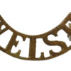 Welsh Regiment (WELSH) Shoulder Title