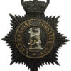 Warwickshire Constabulary Night Helmet Plate - Queen's Crown