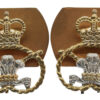 Pair of Staffordshire Regiment Anodised (Staybrite) Collar Badges
