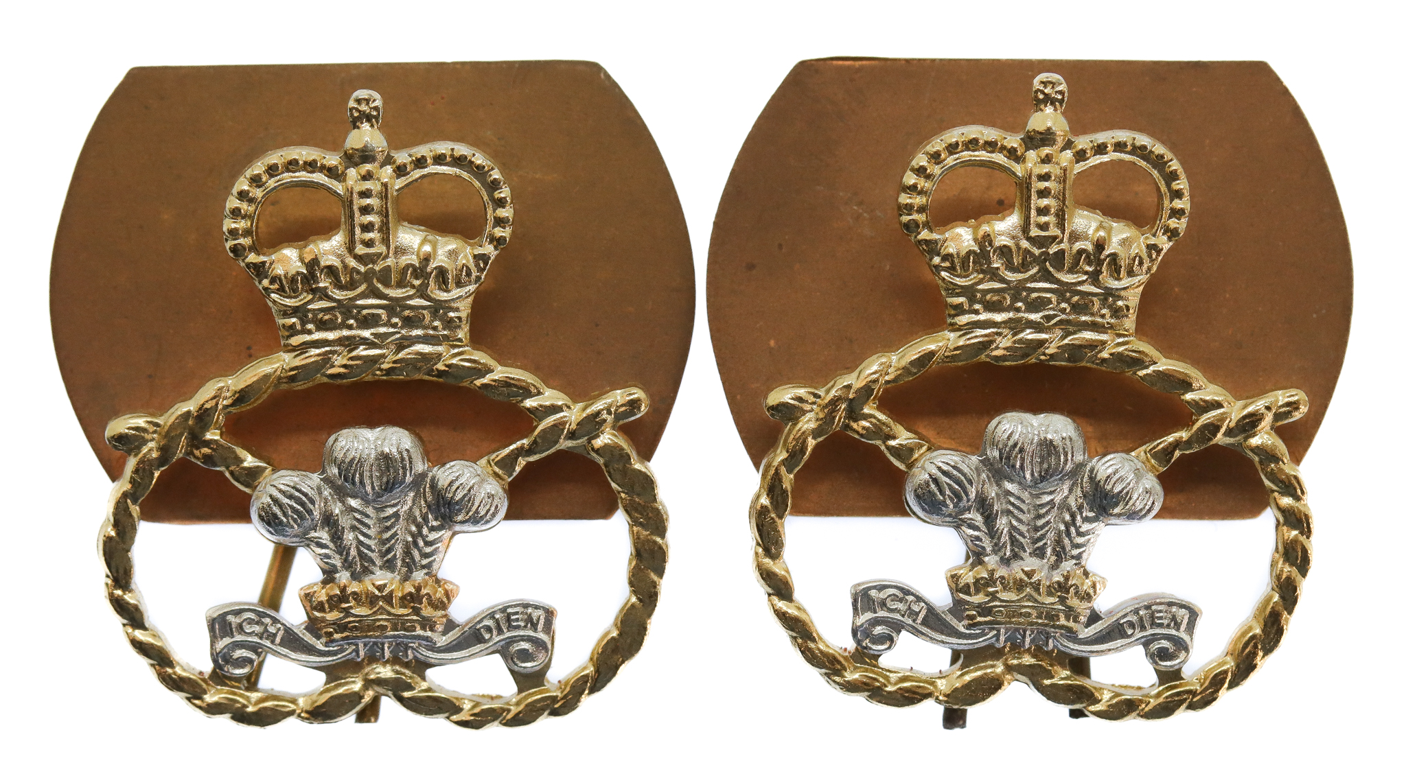 Pair of Staffordshire Regiment Anodised (Staybrite) Collar Badges