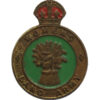 WW2 Women's Land Army Enamelled Hat/Lapel Badge