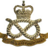 South Staffordshire Regiment Officer's Silvered & Gilt Cap Badge - Queen's Crown