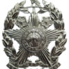 Leeds City Police Chrome Helmet Plate