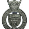 Norfolk Joint Police Cap Badge - Queen's Crown