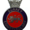Surrey Constabulary Enamelled Cap Badge - Queen's Crown