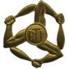 Royal Air Force (R.A.F.) Physical Training Instructors Arm Badge