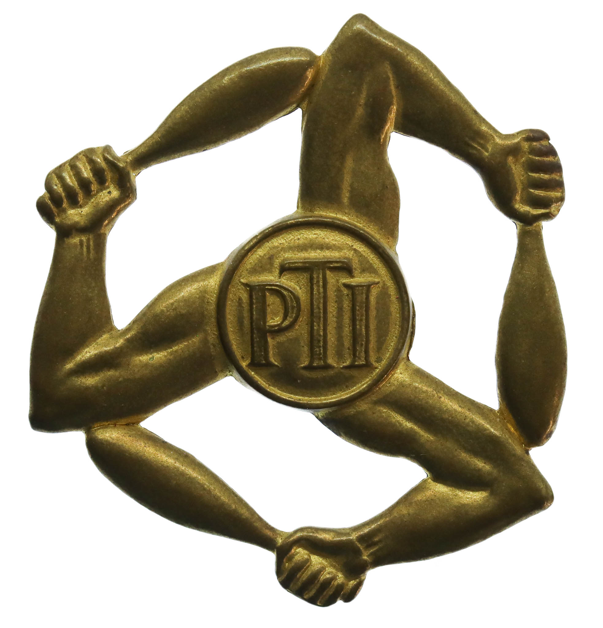 Royal Air Force (R.A.F.) Physical Training Instructors Arm Badge