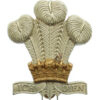 Royal Regiment of Wales Bi-metal Cap Badge