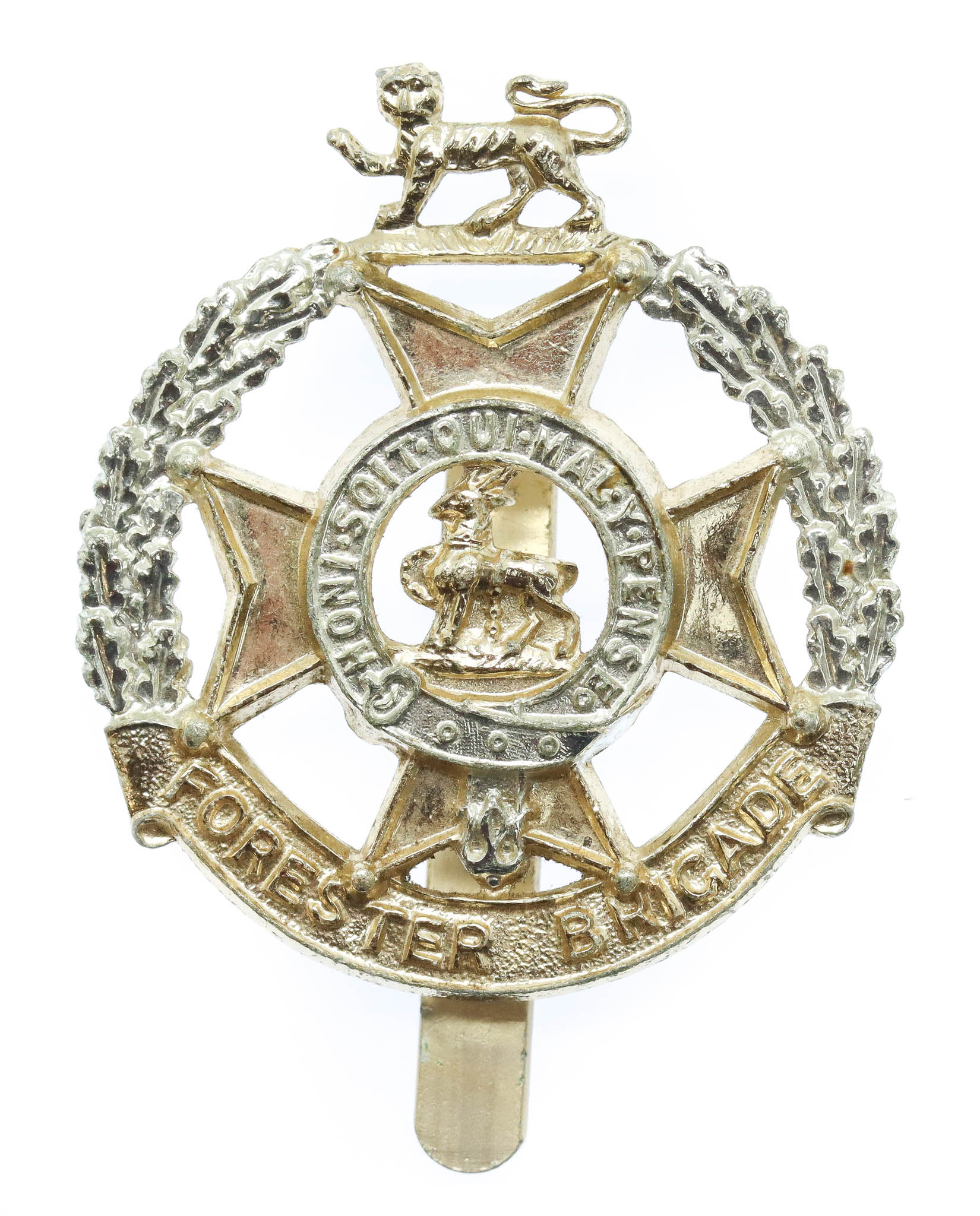 Forester Brigade Anodised (Staybrite) Cap Badge