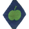 Northern Command Printed Formation Sign (1st Pattern)