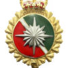 Canadian Forces Intelligence Branch Cap Badge