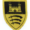 East Anglian District Printed Formation Sign (1st Pattern)