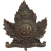 Canadian 29th Waterloo Regiment Cap Badge - King's Crown
