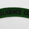 Intelligence Corps (INTELLIGENCE CORPS) Cloth Shoulder Title