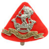 Duke of Wellington's (West Riding Regiment) Anodised (Staybrite) Cap Badge
