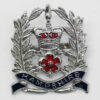 Hampshire Constabulary Sergeants Enamelled Cap Badge - Queen's Crown