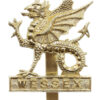 Wessex Brigade Anodised (Staybrite) Cap Badge