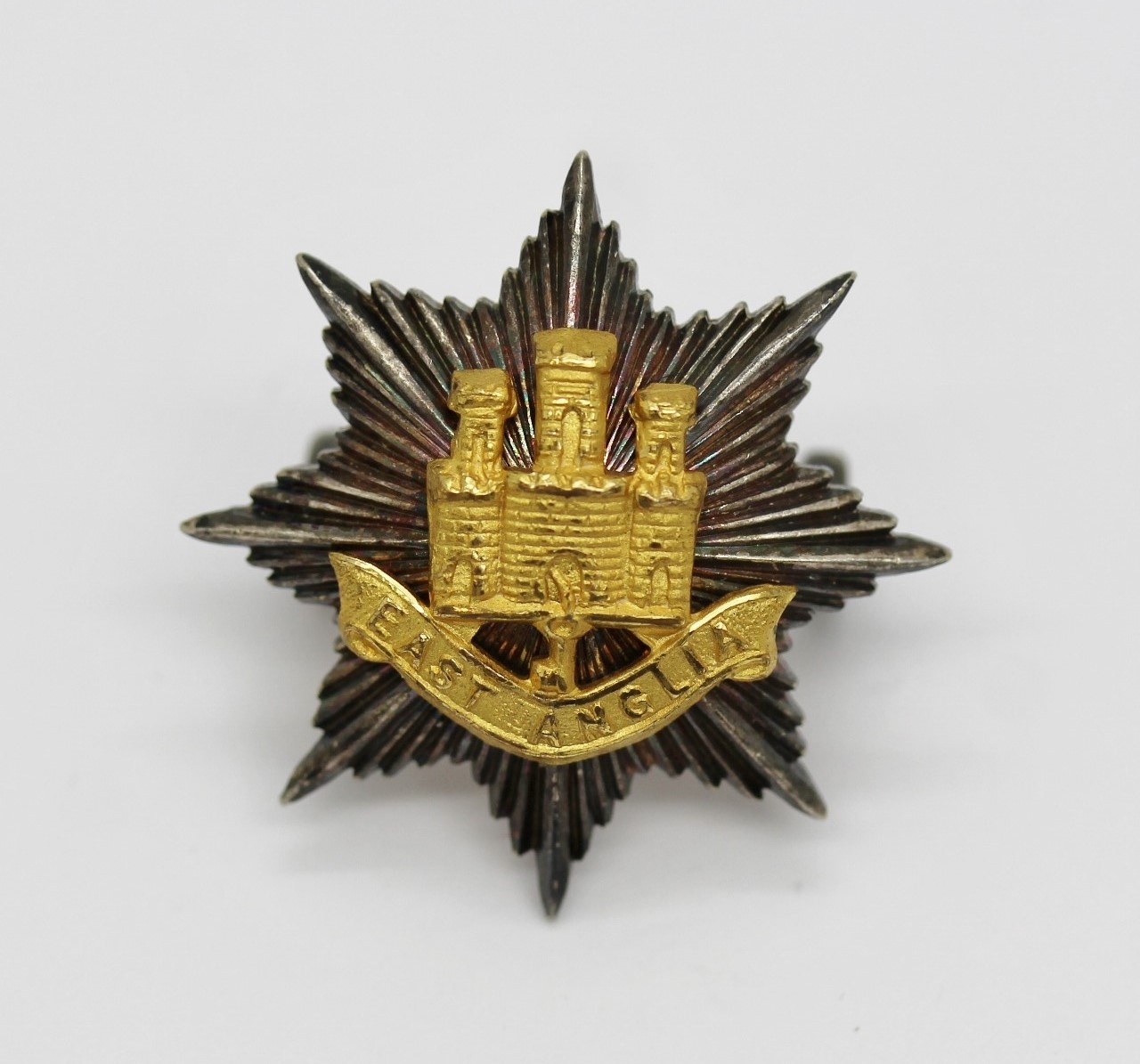 East Anglian Brigade Officer's Cap Badge