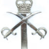 Army Physical Training Corps (A.P.T.C.) Anodised (Staybrite) Cap Badge