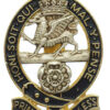 Princess of Wales's Royal Regiment Cap Badge
