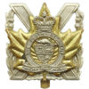 Canadian The Perth Regiment Cap Badge - Queen's Crown