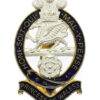 Princess of Wales's Royal Regiment Enamelled Cap Badge
