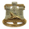 Devon & Dorset Regiment Bi-metal Cap Badge