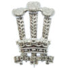 Welsh Brigade Anodised (Staybrite) Cap Badge