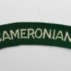 Scottish Rifles (CAMERONIANS) Cloth Shoulder Title
